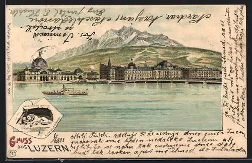 Lithographie Luzern, Uferpartie mit Dampfer, Löwendenkmal
