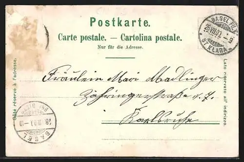 Lithographie Basel, Uferpartie, Rathaus, St. Jakobsdenkmal