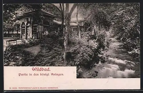 AK Wildbad / Schwarzwald, Partie in den königl. Anlagen