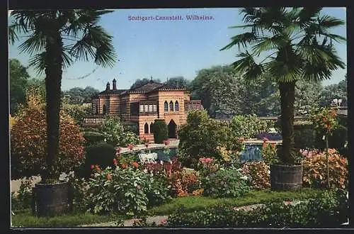 AK Stuttgart-Cannstadt, Garten Wilhelma mit Palmen