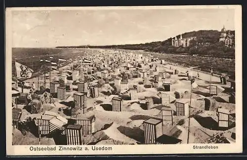 AK Zinnowitz a. Usedom, Blick über die Kolonie aus Strandkörben