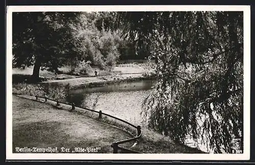 AK Berlin-Tempelhof, Teich im Alte-Park