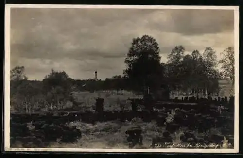 AK Königsdorf, Blick auf das Torfmoor