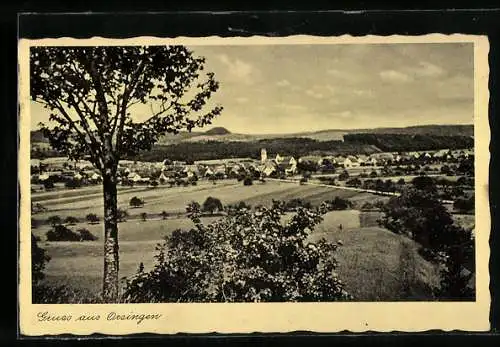 AK Orsingen, Ortsansicht mit Umgebung