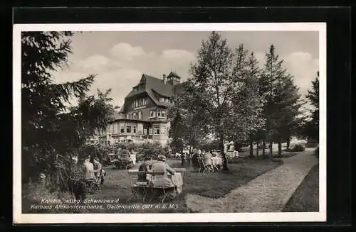 AK Kniebis, Blick auf Kurhaus Alexanderschanze, Gartenpartie