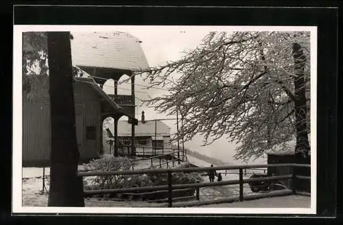 AK Heidelberg, Partie am Kohlhof im Winter