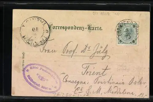 Künstler-AK F.A.C.M. Reisch: Trafoi, Hotel Schöne Aussicht, Hotel Neue Post, Hotel Ferdinandshöhe am Stilfser-Joch