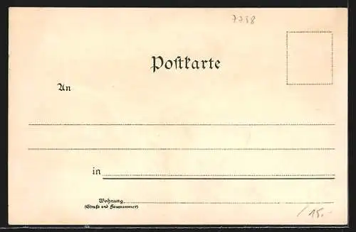 Lithographie Meersburg, Teilansicht mit Dampfer, Seerosen