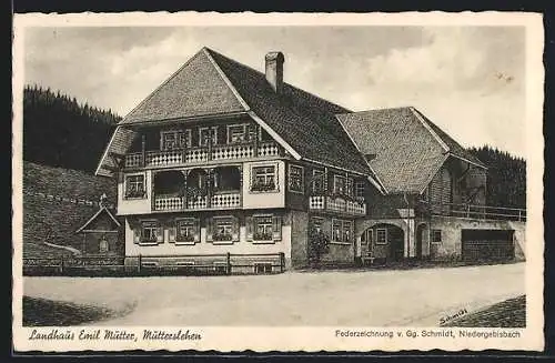 Künstler-AK Mutterslehen bei St. Blasien, Hotel Landhaus Emil Mutter