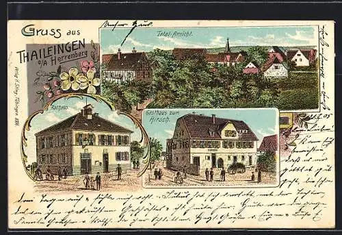 Lithographie Tailfingen / Herrenberg, Gasthaus zum Hirsch, Rathaus, Totalansicht aus der Vogelschau