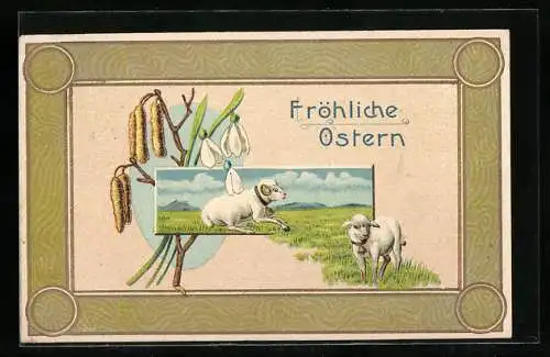 AK Lämmer zu Ostern auf einer Weide mit Osterglöckchen
