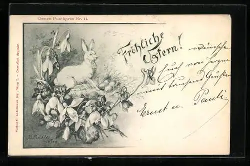 AK Osterhase bewacht seine Eier