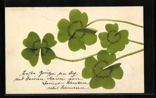 AK Kleeblätter als Glücksbringer