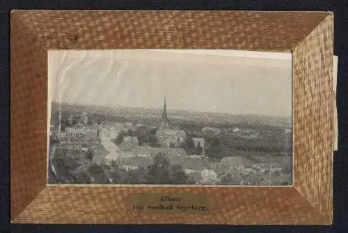 Leporello-AK Bad Segeberg, Ortsansicht vom Kalkberg aus, Lehrer-Seminar, See-Promenade