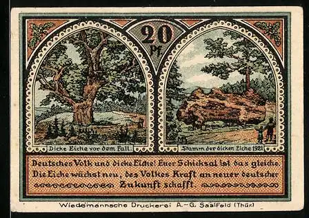 Notgeld Roda 1921, 20 Pfennig, Dicke Eiche vor dem Fall, Ortsansicht
