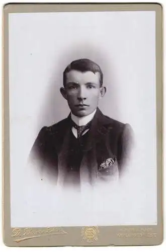 Fotografie D. Bowen & Son, Haverfordwest, 14, Picton Place, Junger Herr im Anzug mit Krawatte