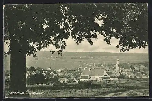 AK Monheim / Schwab., Ortsansicht vom Waldrand aus