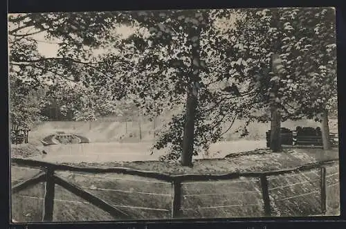 AK Iserlohn, Stadtpark mit Rupenteich