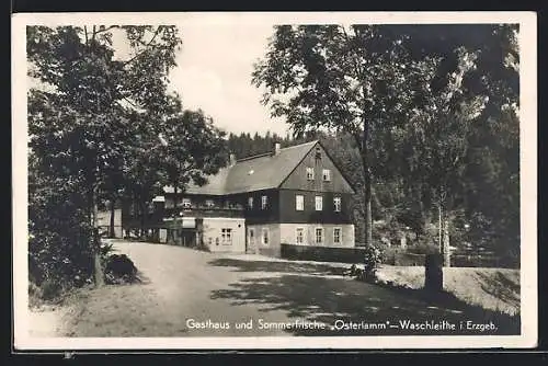 AK Waschleithe i. Erzgeb., Gasthaus und Sommerfrische Osterlamm