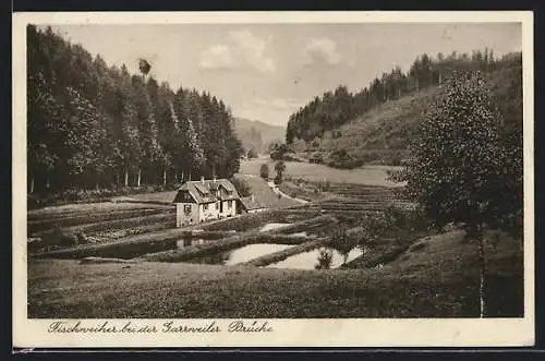 AK Garrweiler, Fischweiher an der Garrweiler Brücke