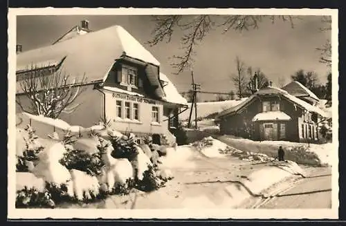 AK Häusern /Hochschwarzwald, Gasthaus und Pension Albtalblick