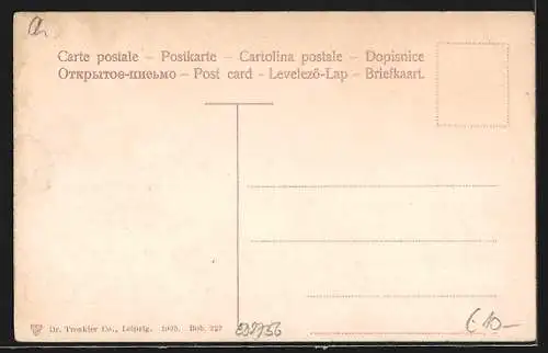 AK Beatenberg, Panorama mit Brücke