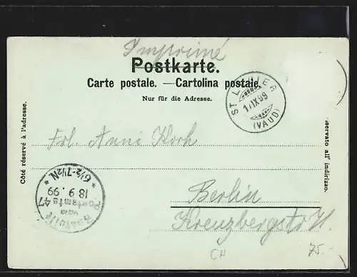 Mondschein-Lithographie Vevey, Stadtansicht vor See und Bergen