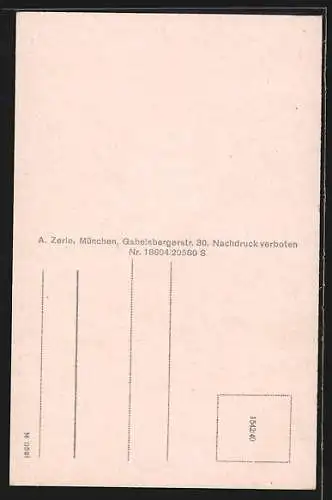 AK Pfaffenhofen a. Ilm, Maibaum am Platz, Ortsansicht