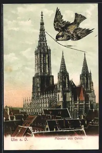 AK Ulm a. D., Münster von Osten gesehen
