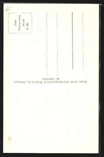 AK Ulm a. D., An der Blau