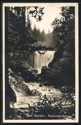 AK Dornbirn, Wasserfall in der Rappenloch-Schlucht