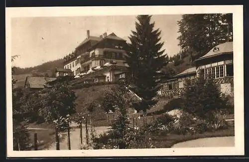 AK Gösing /Mariazellerbahn, Hotel Gösing, Rückansicht