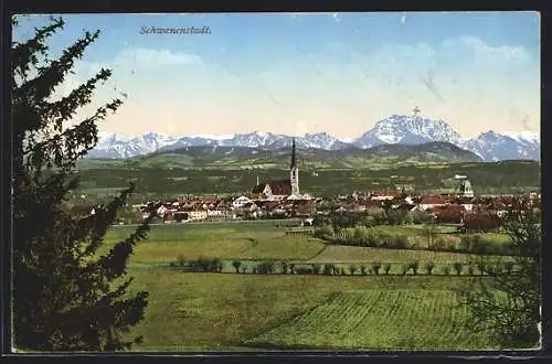 AK Schwanenstadt, Panorama