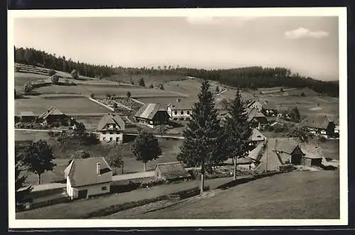 AK Bubenbach /Schwarzw., Ortsansicht aus der Vogelschau