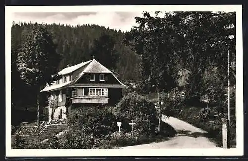 AK Blasiwald /Hochschwarzwald, Fremdenheim Haus Schwörer im Wald