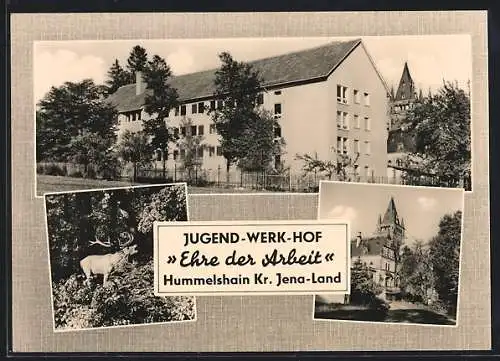 AK Hummelshain /Jena-Land, Der Jugend-Werk-Hof Ehre der Arbeit