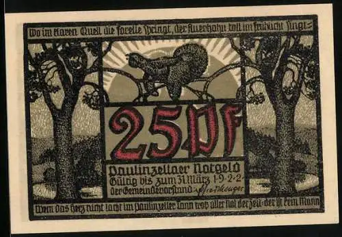 Notgeld Paulinzella 1922, 25 Pfennig, Ortsansicht aus der Vogelschau