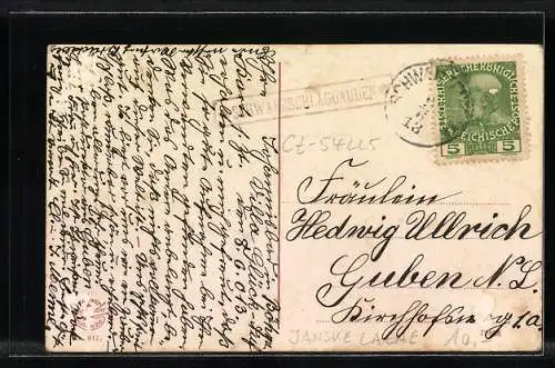 AK Johannisbad i. Böhmen, Ortsansicht aus der Vogelschau