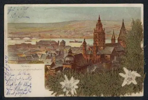 Lithographie Mainz, Blick vom Stephansthurm, mit echtem Edelweiss