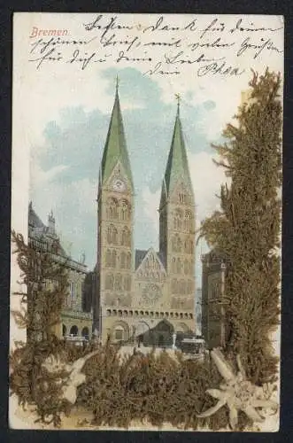 AK Bremen, Der St. Petri-Dom, mit echtem Edelweiss