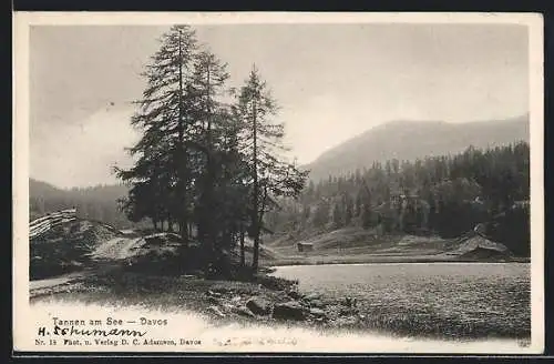 AK Davos, Tannen am See