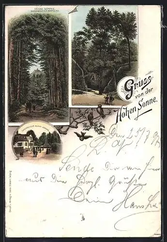 AK Eisenach, Hotel Gasthof zur Hohen Sonne, Durchblick zur Wartburg, Annathal