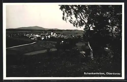 AK Schenkenfelden /Oberdonau, Ortsansicht mit Kirche