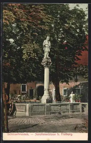 AK Freiburg / Breisgau, Jesuitenschloss und Schlossbrunnen