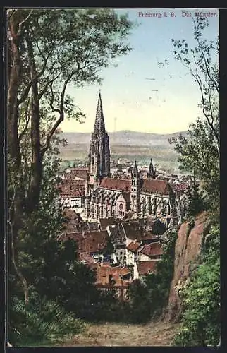 AK Freiburg i. B., Das Münster aus der Vogelschau