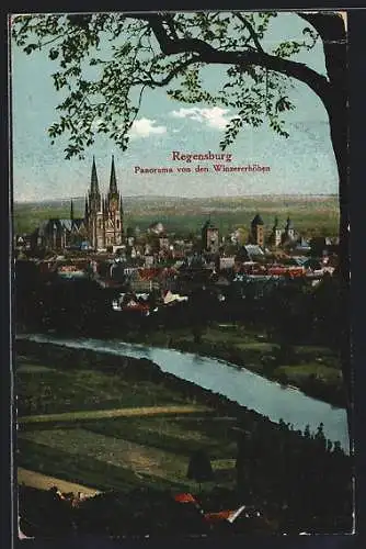 AK Regensburg, Panorama von den Winzererhöhen