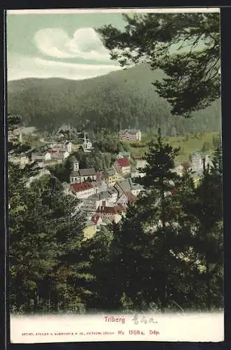 AK Triberg, Ortsansicht aus der Vogelschau