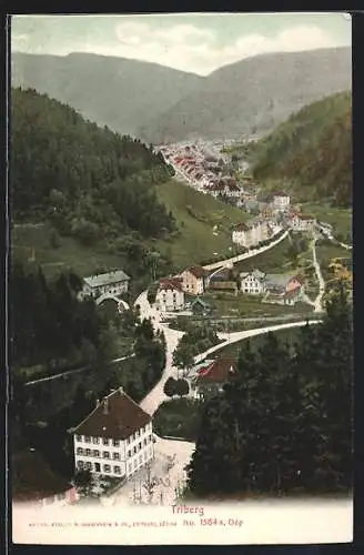 AK Triberg, Ortsansicht aus der Vogelschau