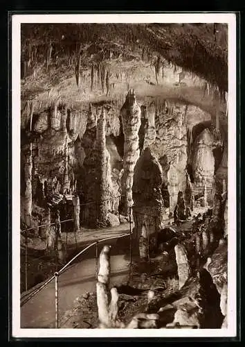 AK Grotte di Postumia, La sala delle colonne