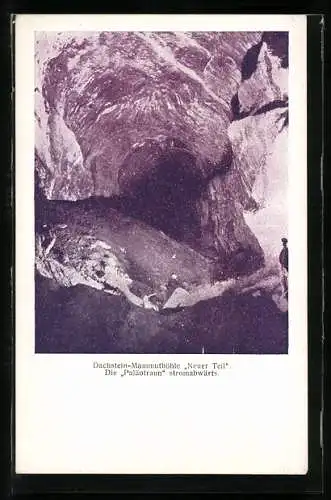 AK Dachstein-Mammuthöhle, Neuer Teil, die Paläotraun stromabwärts